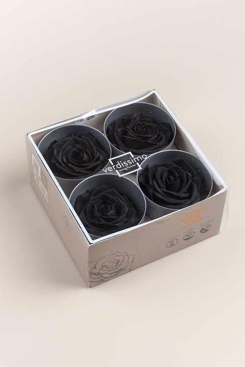 Rosa Premium - Caja de 4 cabezas