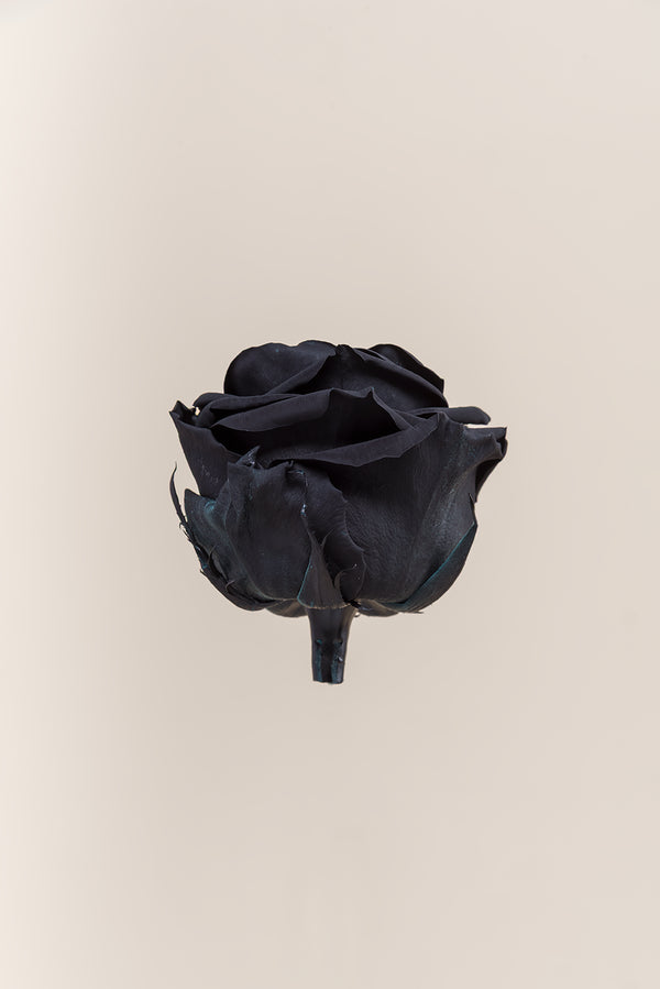 Rose Premium - Box 4 heads