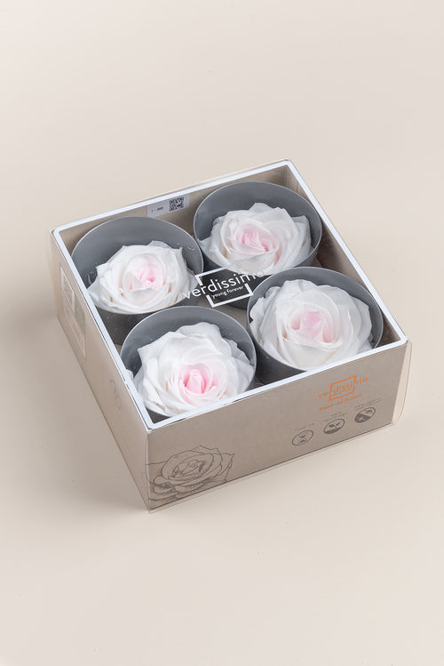 Rose Premium - Boîte 4 têtes