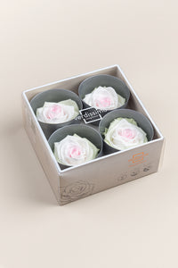 Blanc / Rose pastel / Vert pastel