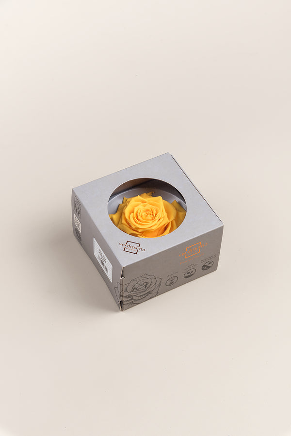 Rose king - Box 1 head