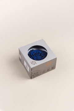 Azul oscuro