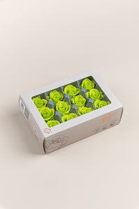 Vert citron