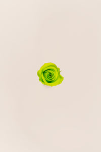 Vert citron