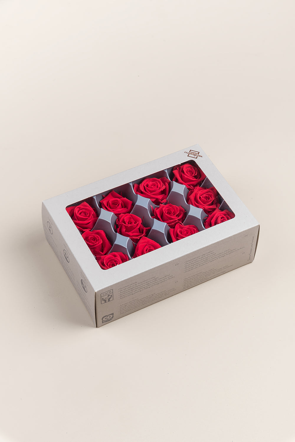 Rosa Mini - Caja 12 cabezas