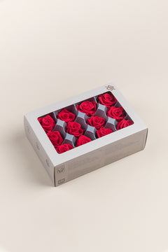 Rojo
