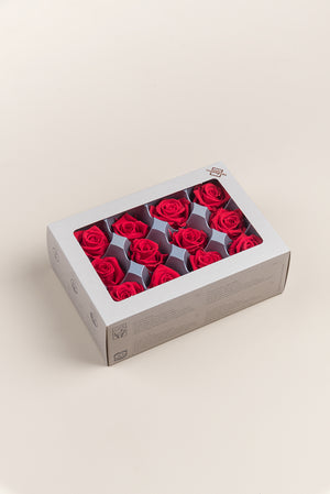 Rose Mini - Boîte 12 têtes