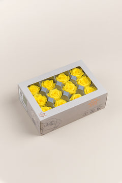 Amarillo brillante
