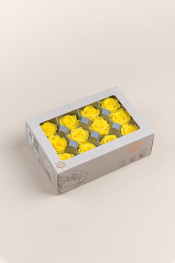 Rose Mini - Box 12 heads