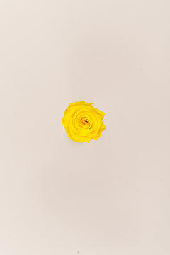 Bright Yellow