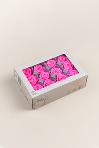Rose vif