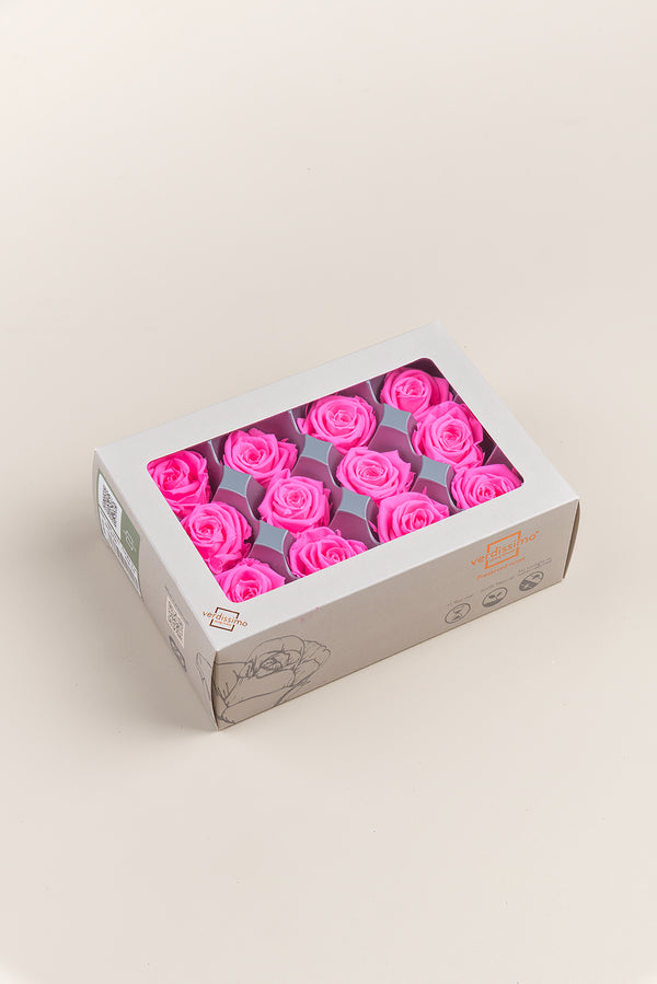 Rose Mini - Box 12 heads