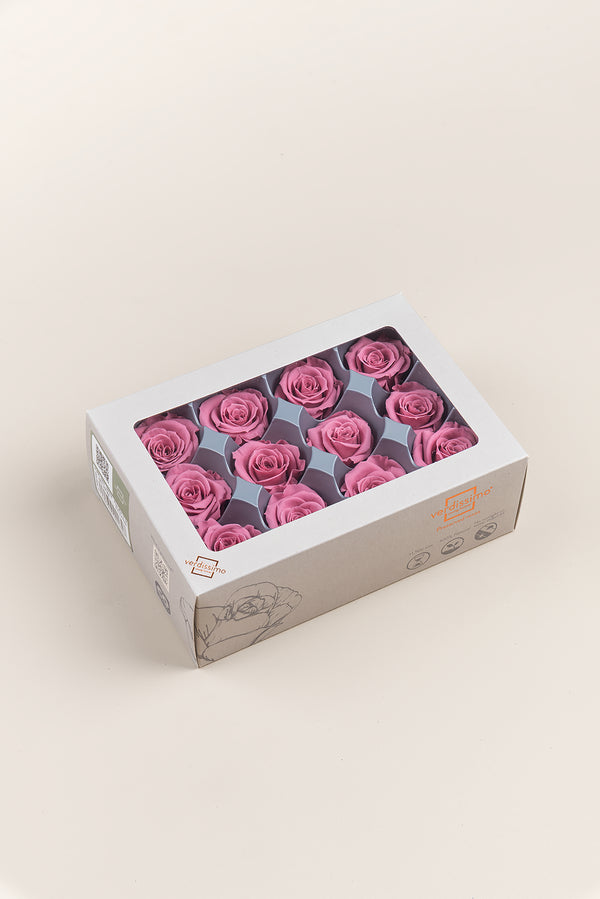 Rose Mini - Box 12 heads