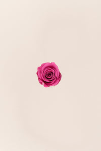 Cerise Vintage