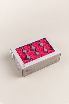 Rosa oscuro