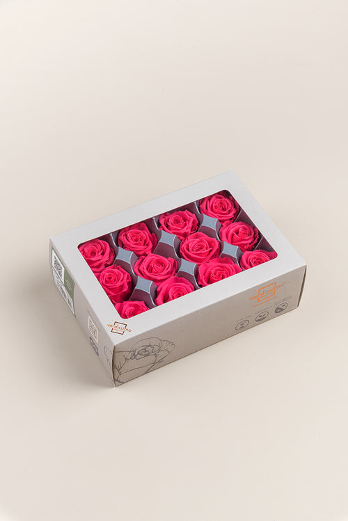 Rosa Mini - Caja 12 cabezas