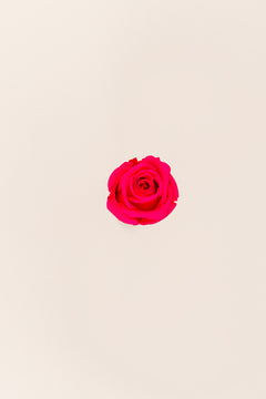 Dark Pink