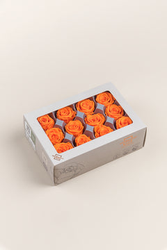 Naranja