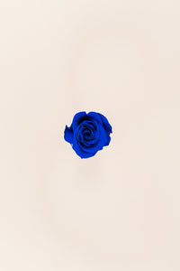 Bleu foncé