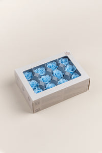 Bleu clair