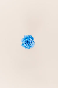 Bleu clair