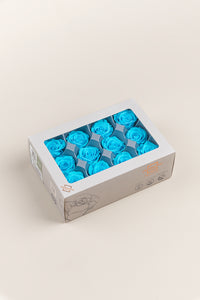 Turquoise vif