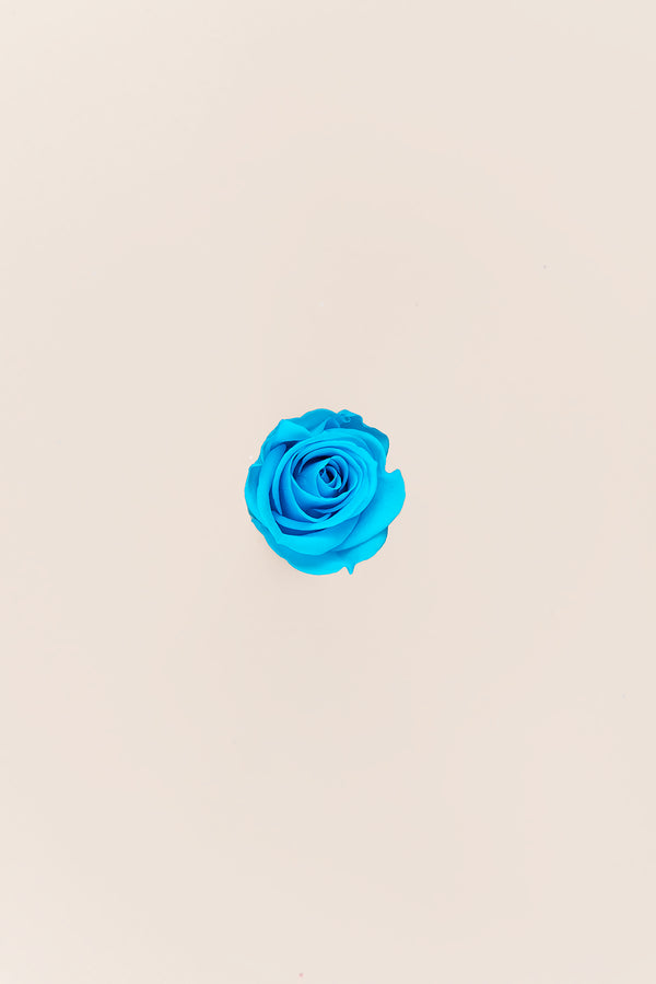 Rose Mini Bulk - Pack 288 u.