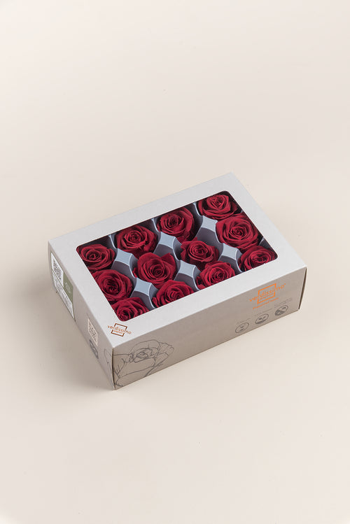 Rose Mini - Box 12 heads