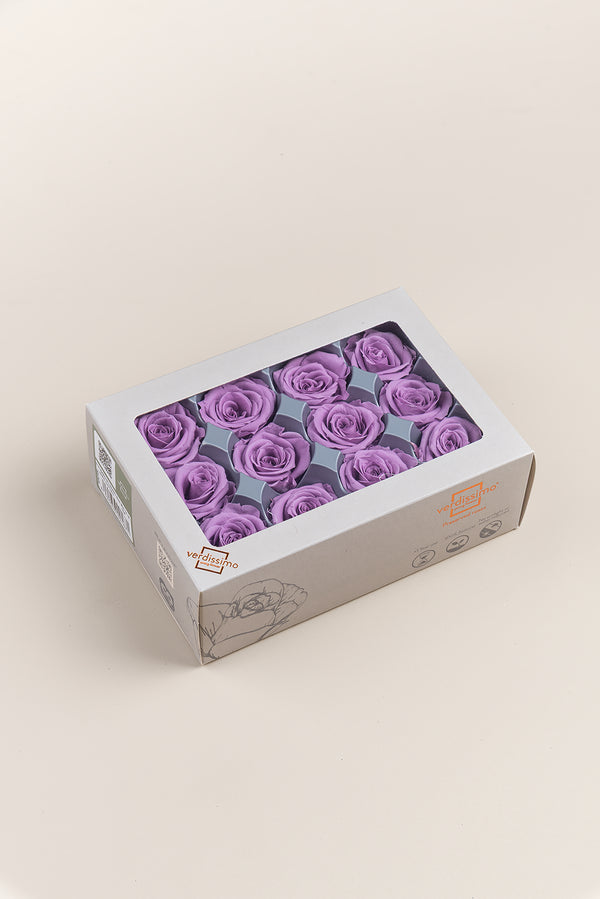 Rose Mini - Box 12 heads