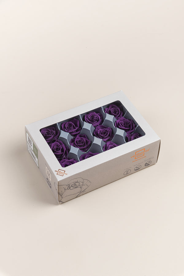Rose Mini - Box 12 heads