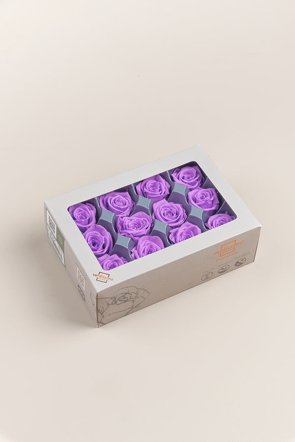 Rose Mini - Box 12 heads