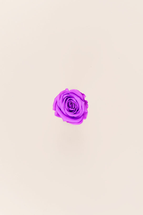 Rose Mini Bulk - Pack 288 u.