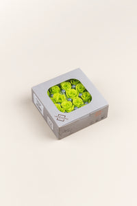 Vert citron