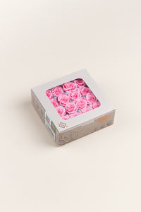Rose pâle