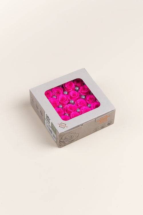 Rosa Princess - Caja 16 cabezas