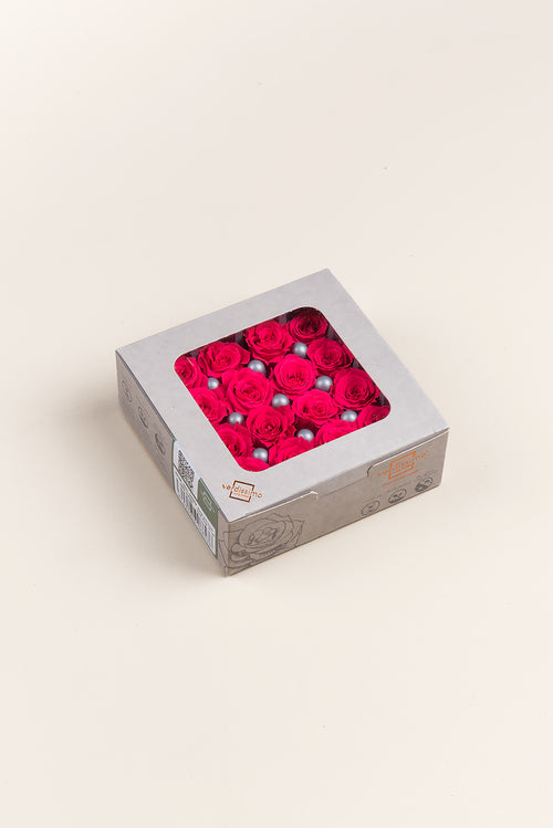 Rosa Princess - Caja 16 cabezas