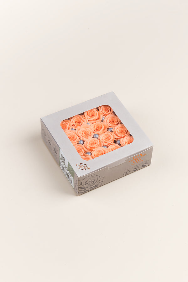 Rose Princess - Box 16 heads