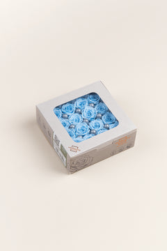 Bleu clair