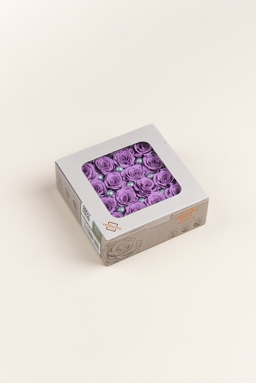 Rose Princess - Box 16 heads
