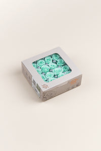 Menthe Pastel
