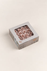 Hazelnut