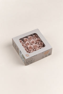Hazelnut