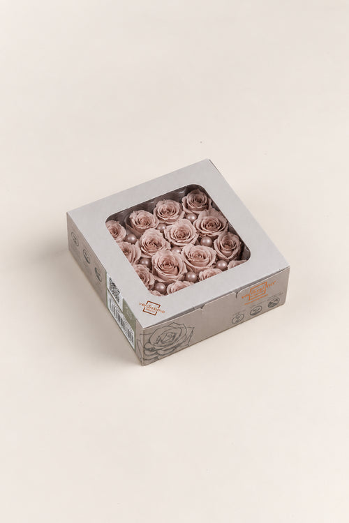 Rose Princess - Box 16 heads