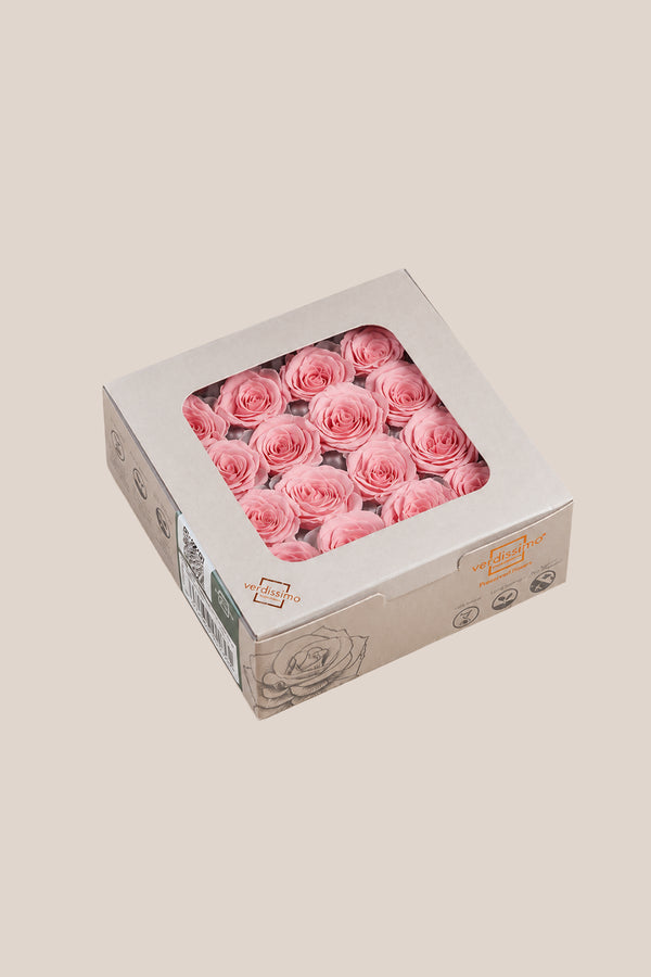 Rosa Princess - Caja 16 cabezas