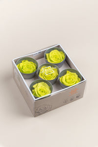 Vert citron