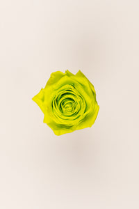 Vert citron