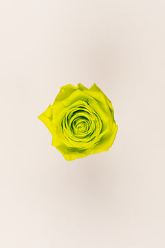 Verde lima