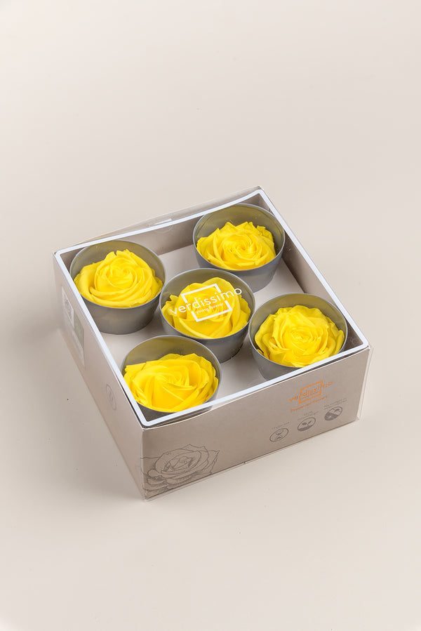 Rose Queen - Box 5 heads