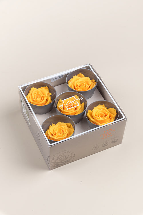 Rosa Queen - Caja 5 cabezas