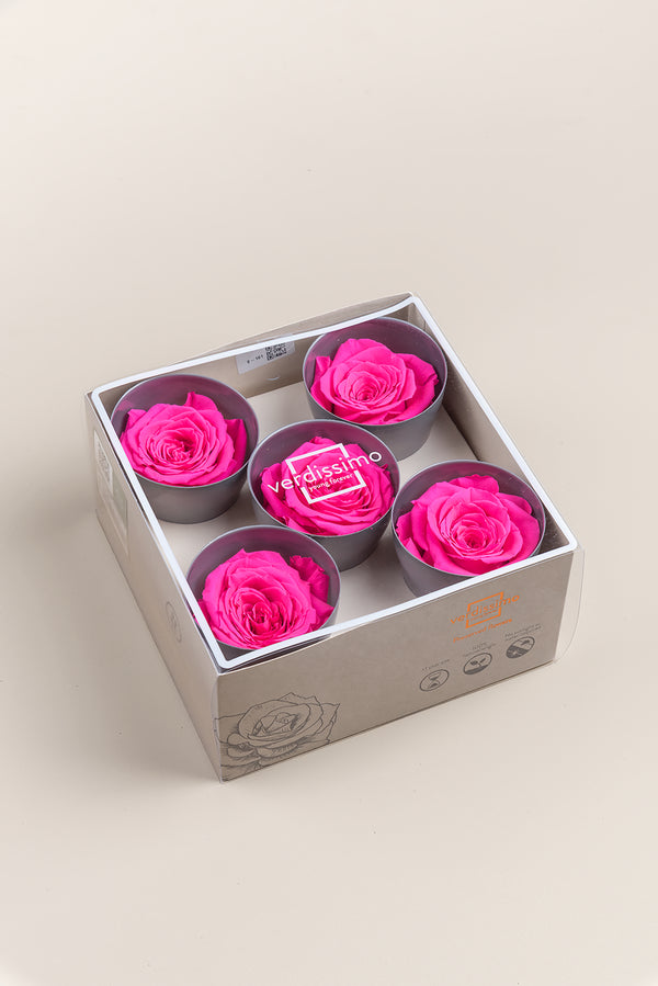 Rose Queen - Box 5 heads